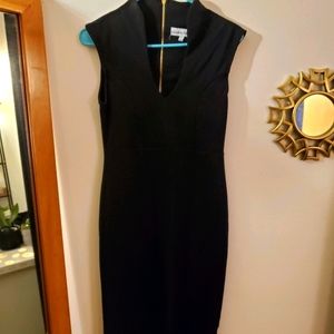 Sheath Dress